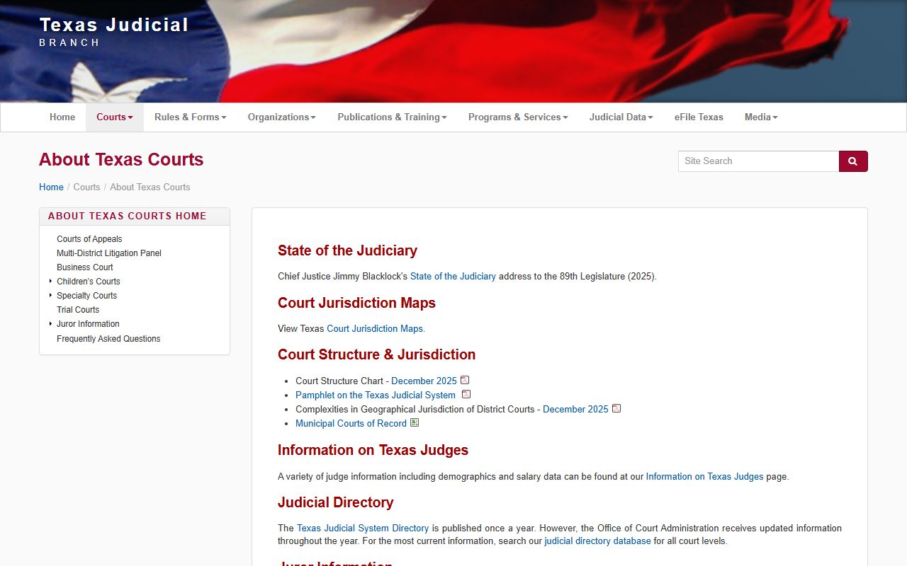 Texas Judicial Branch overview supporting McLennan County court records search