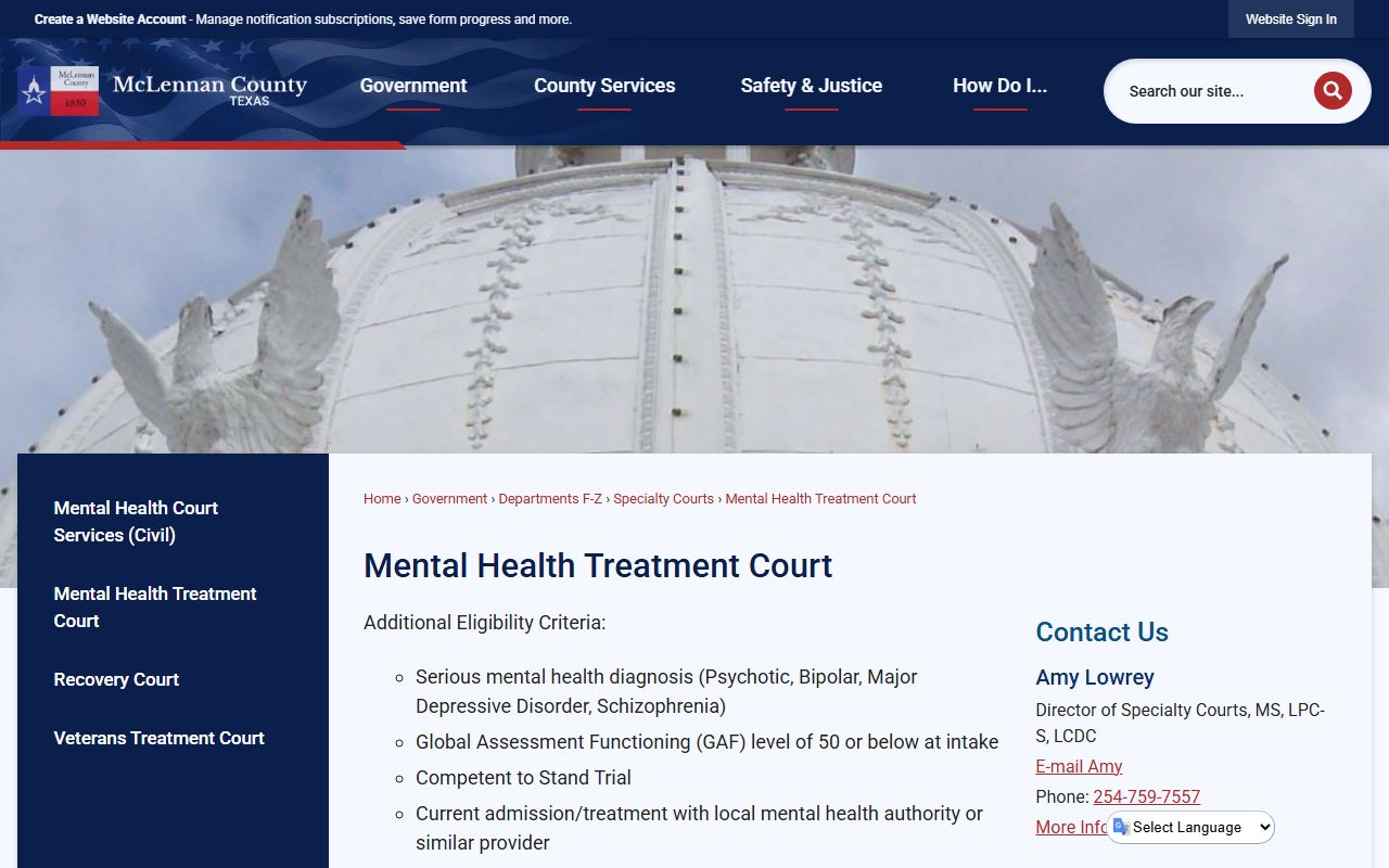 McLennan County Mental Health Treatment Court eligibility tied to public records